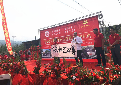 善心匯最新動(dòng)態(tài)，今日消息一覽
