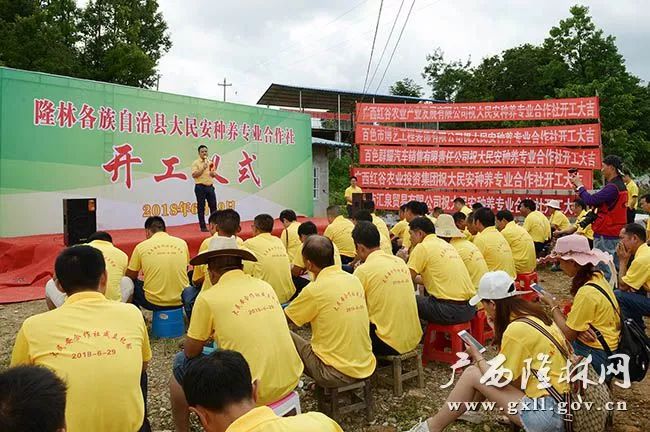 隆林扶貧搬遷最新消息，推動(dòng)脫貧攻堅(jiān)與鄉(xiāng)村振興并重前行