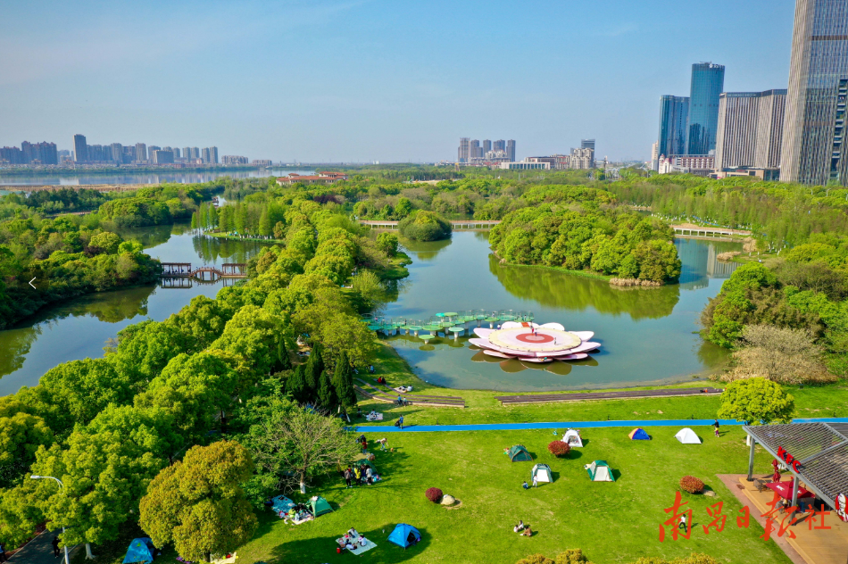 圍嶺公園最新消息，打造城市綠色新名片