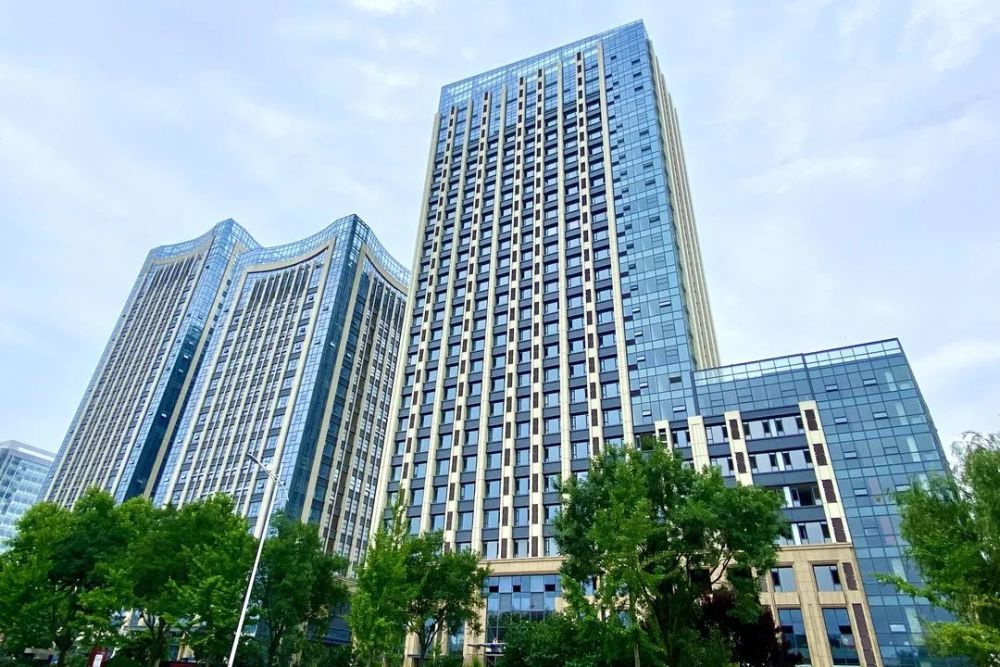 日照一號學府最新動態(tài)，蓬勃發(fā)展中的教育新地標