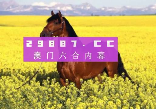 新粵門六舍彩資料免費(fèi)，探索與解析