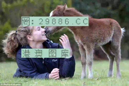 澳門平特一肖，揭秘預測準確率背后的真相