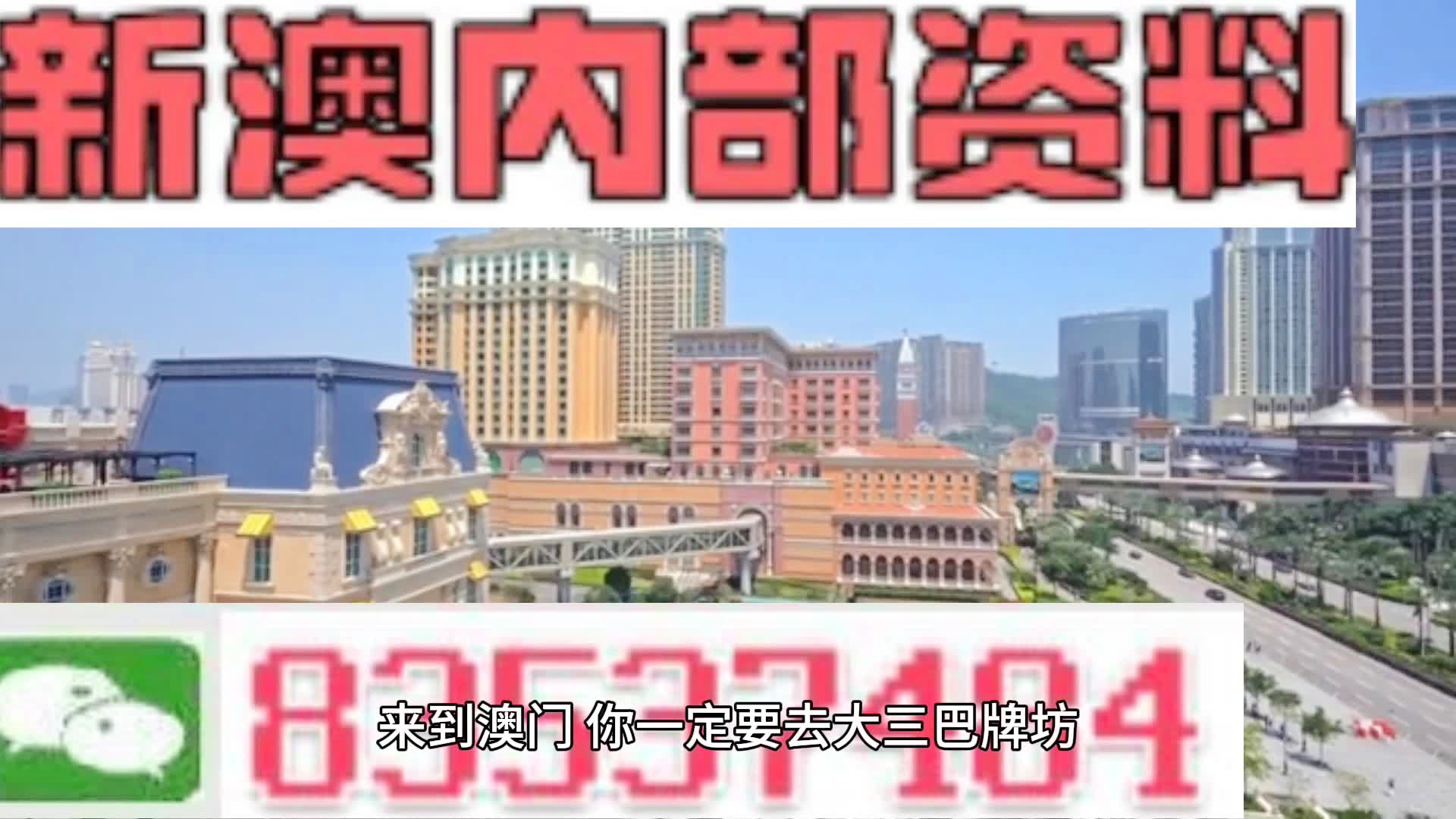 新澳門六肖預(yù)測(cè)與探索，2024年的展望
