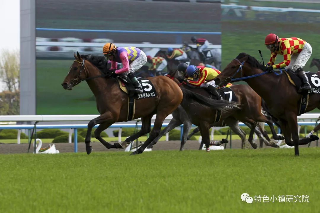 今晚香港開(kāi)特馬，探尋賽馬運(yùn)動(dòng)的魅力與未來(lái)展望