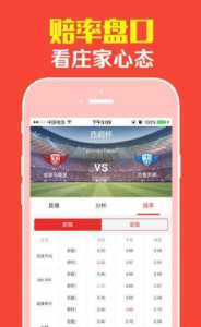 2024年11月23日 第13頁