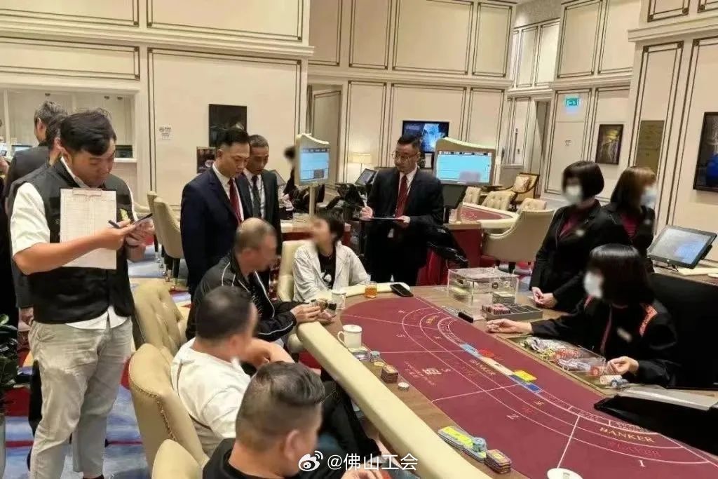 澳門一肖一碼資料與肖一碼，揭示背后的違法犯罪問題