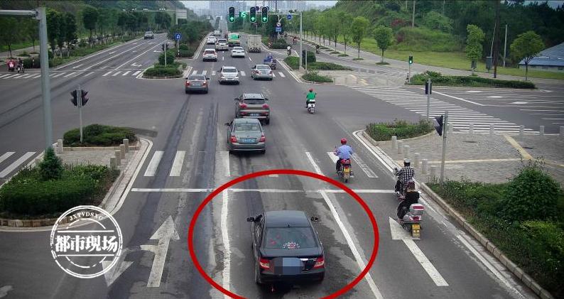 贛州市最新車牌號碼及其相關(guān)概述