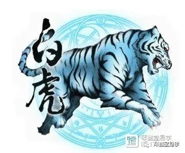 澳門白虎玄機(jī)與玄武精準(zhǔn)解析