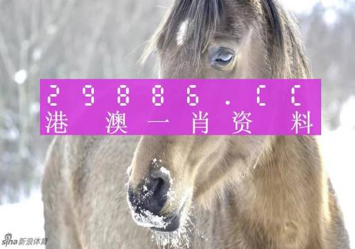 澳門精準(zhǔn)一肖一碼100%，揭示背后的犯罪問(wèn)題