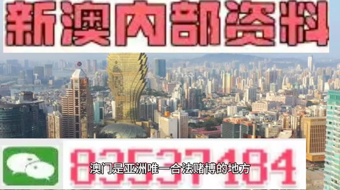 新澳精準(zhǔn)資料，探索其背后的力量與價(jià)值