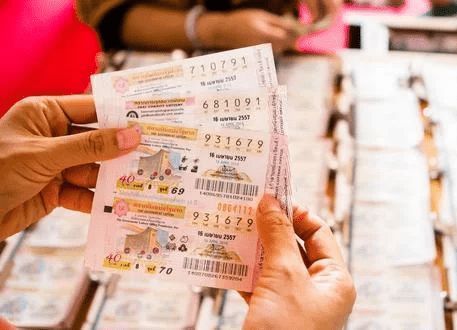 澳門平特一肖，揭秘預(yù)測準確性的真相