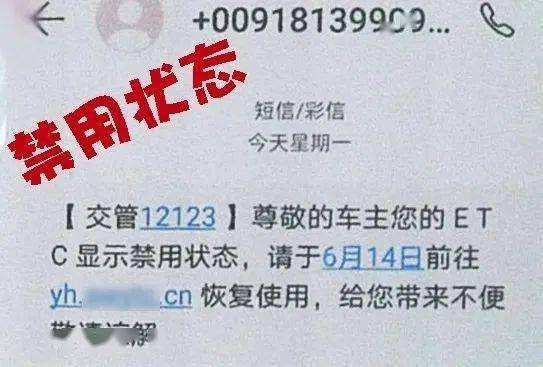 警惕虛假信息陷阱，新澳門資料全年免費(fèi)精準(zhǔn)背后的風(fēng)險(xiǎn)