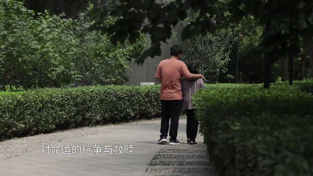 今世緣等著我最新一期，今晚相約情緣之夜